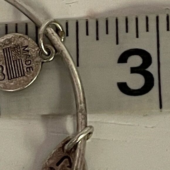 2014 Alex & Ani “Path of Life” pull chain silver tone charm bracelet - Picture 7 of 10